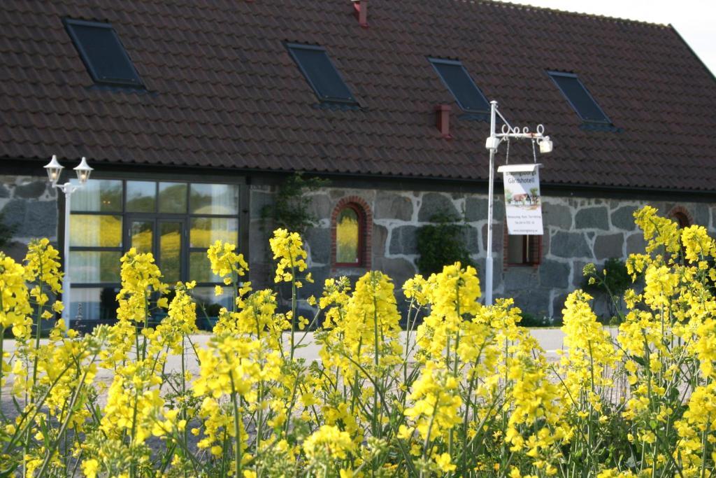 Blasingsborgs Gardshotell Pa Oesterlen Kivik Extérieur photo